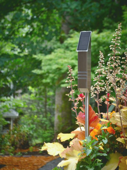 StarLight & Stake Package - Black Classic - Solar Powered LED Accent Light